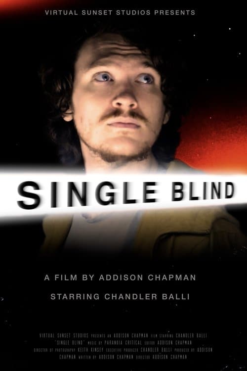 Single Blind (2025) movie poster
